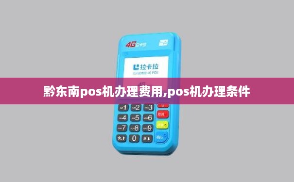 黔东南个人POS机办理全攻略，流程、要点与案例详解